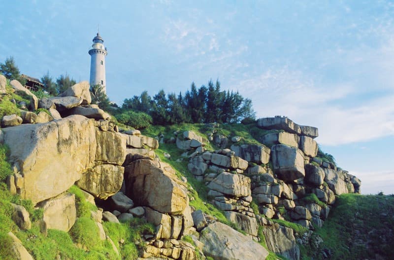 mũi điện