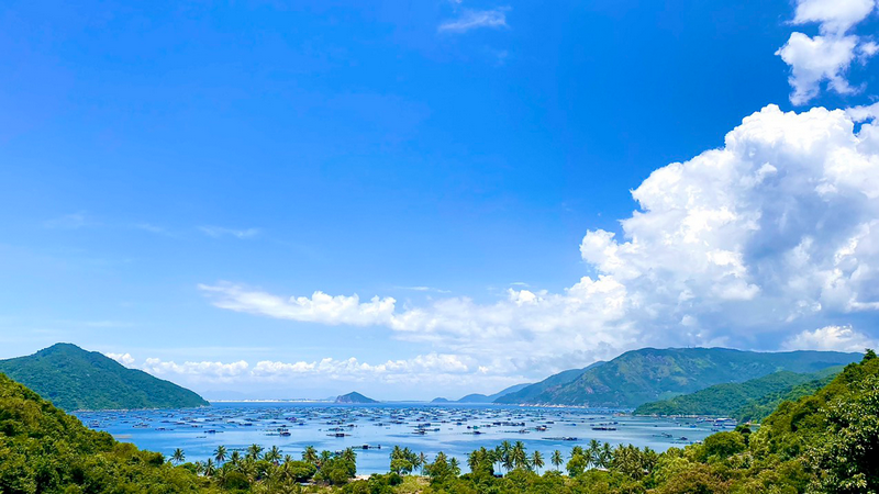 vịnh vũng rô