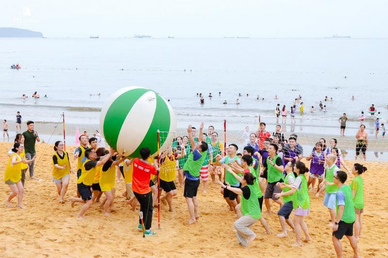 Chơi teambuilding trên bãi biển
