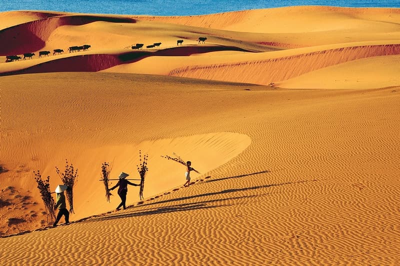 Đồi cát bay Phan Thiết