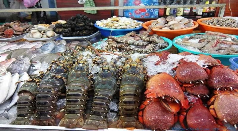 hải sản biển khánh hòa