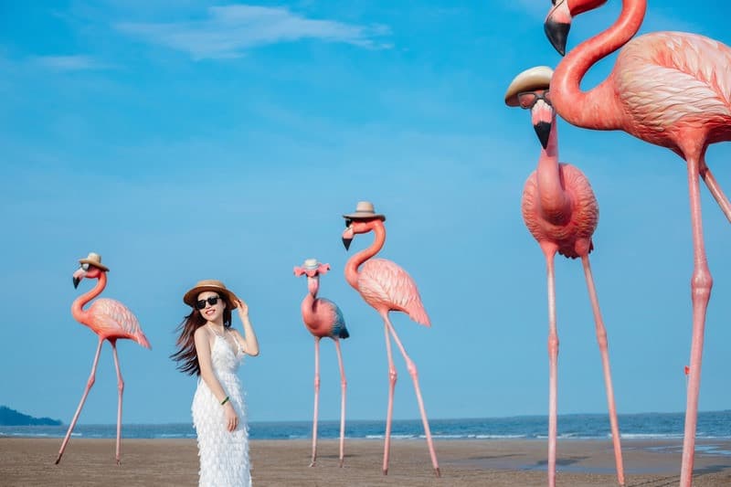 Thành phố lễ hội Flamingo IBIZA Hải Tiế, Tour Hải Tiến 2 ngày 1 đêm