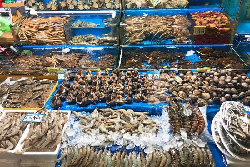 Ẩm thực Hải Tiến, Tour Hải Tiến 2 ngày 1 đêm