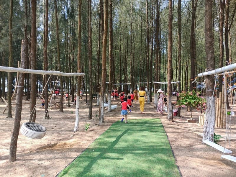 Rừng dương Hải Tiến, Tour Hải Tiến 2 ngày 1 đêm