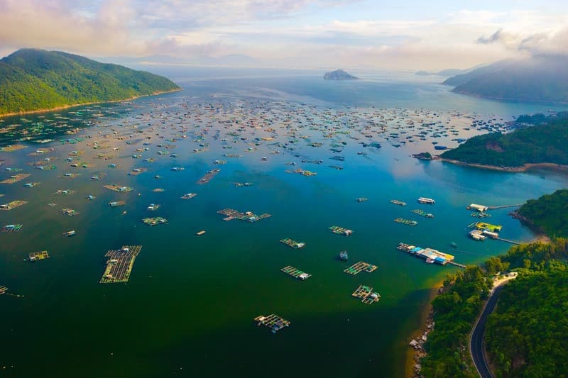 Tham quan vịnh Vũng Rô du lịch Phú Yên