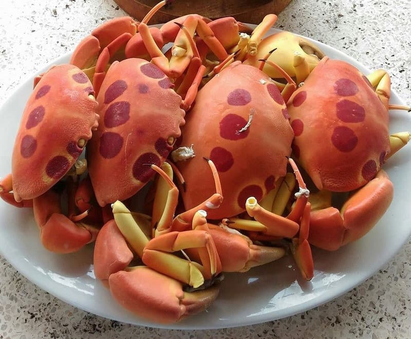 Cua mặt trăng