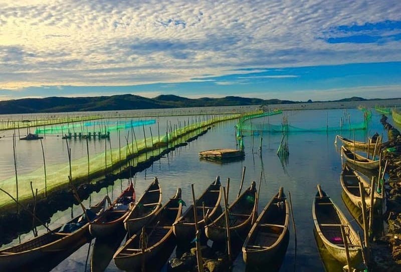 kinh nghiệm du lịch phú yên