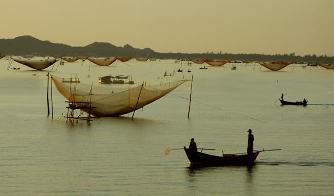 đầm cù mông