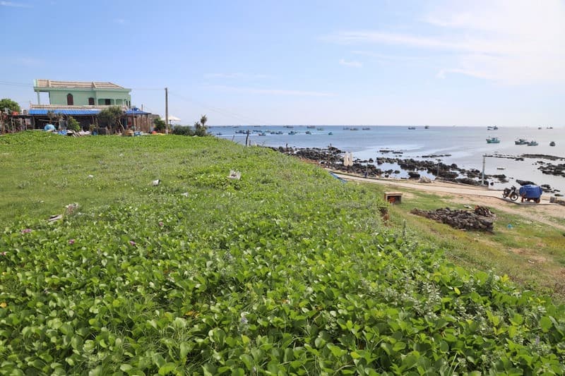 Rạng Cạn Phú Quý