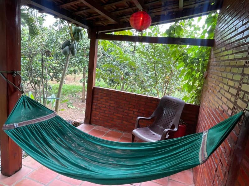 dừng chân nghỉ ở Forest Eco Lodge