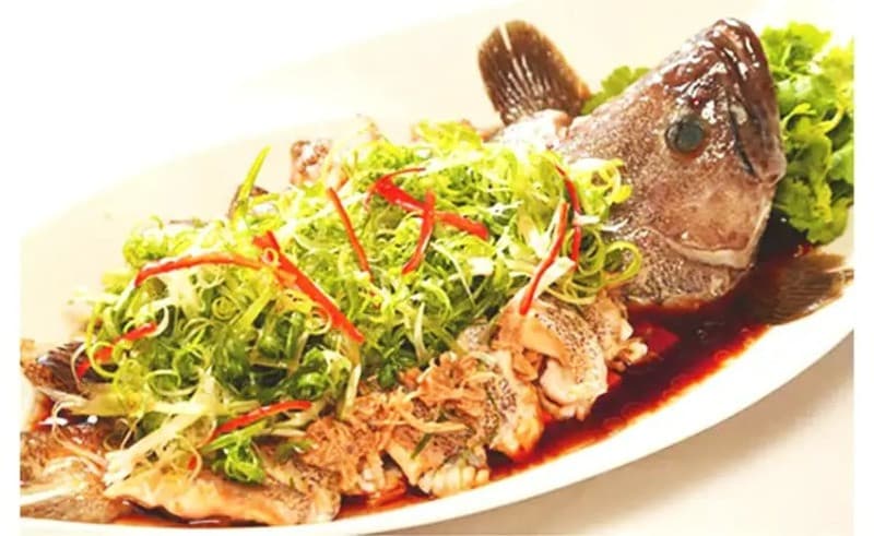 Cá mú bông đảo Phú Quý