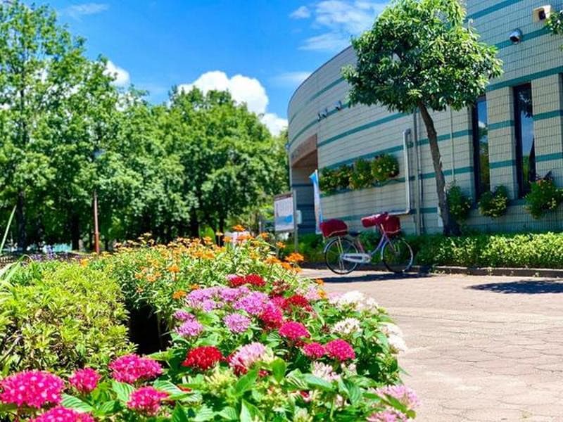  tour Nhật Bản 6 ngày 5 đêm từ Hà Nội