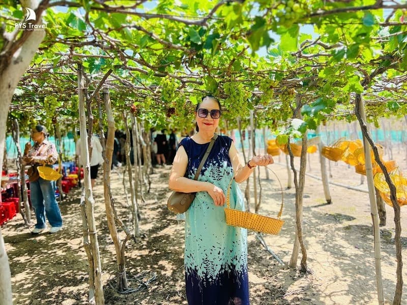 check in tại vườn nho ninh thuận