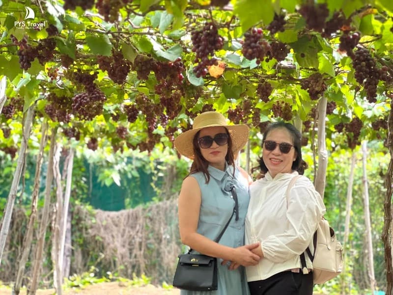 Tham quan tại vườn nho Ba Mọi