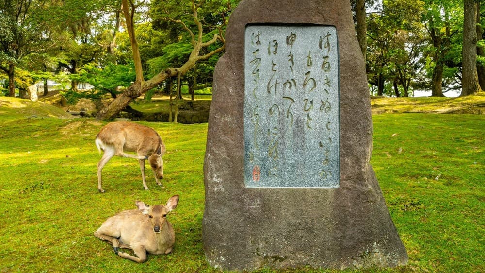 Công viên nai Nara