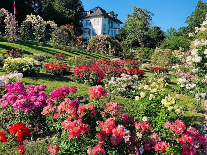 Vườn hoa hồng Rosengarten