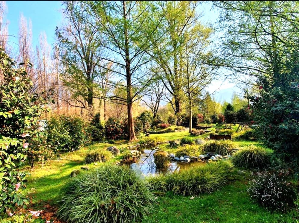 Parco delle Camelie
