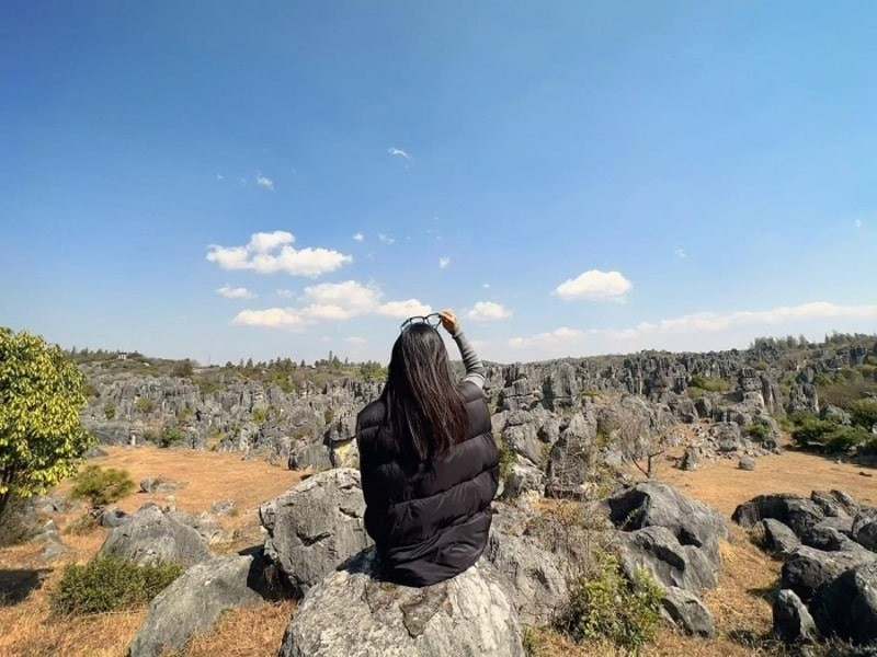 rừng đá thạch lâm