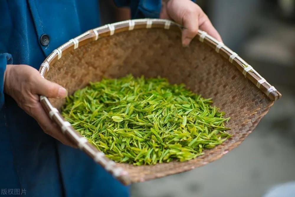 tour du lịch Bắc Kinh 2/9, tour bắc kinh thượng hải 2/9