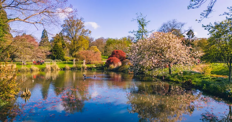 wakehurst