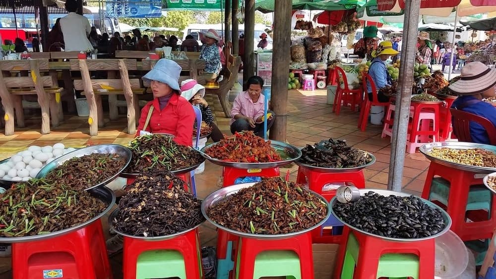 Tham quan chợ côn trùng Skun Campuchia
