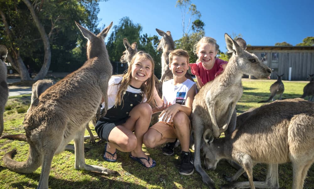 tham quan Wildlife Park 