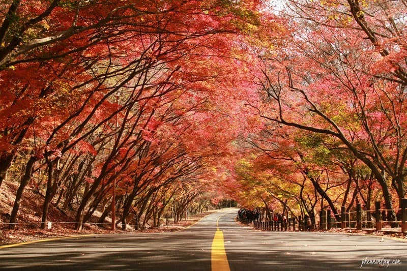 hàn quốc mùa thu