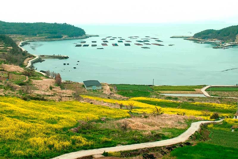 Đảo Cheongsando