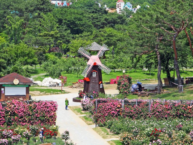 vườn bách thảo seoul grand park