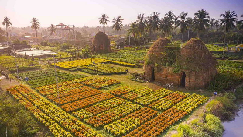 đồng tháp
