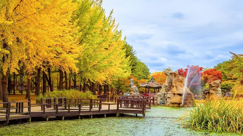 Du lịch đảo Nami vào mùa thu