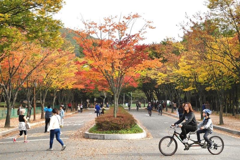 Mùa thu ở Incheon