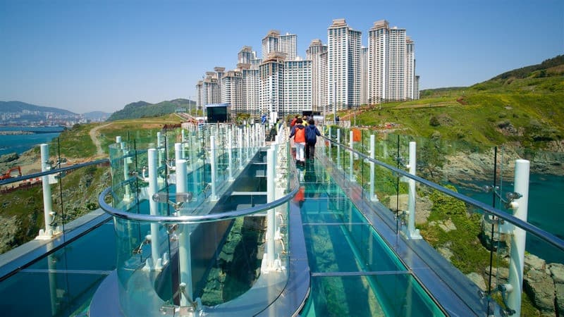 Cầu kính Oryukdo Skywalk Busan