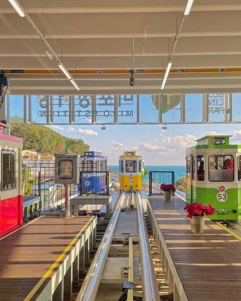 Trải nghiệm đi tàu ven biển Haeundae Busan