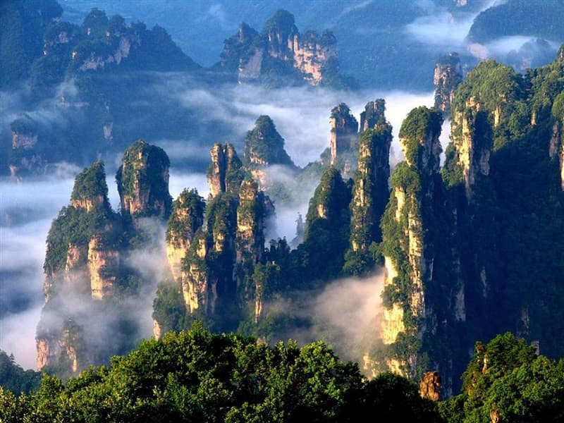 trương gia giới