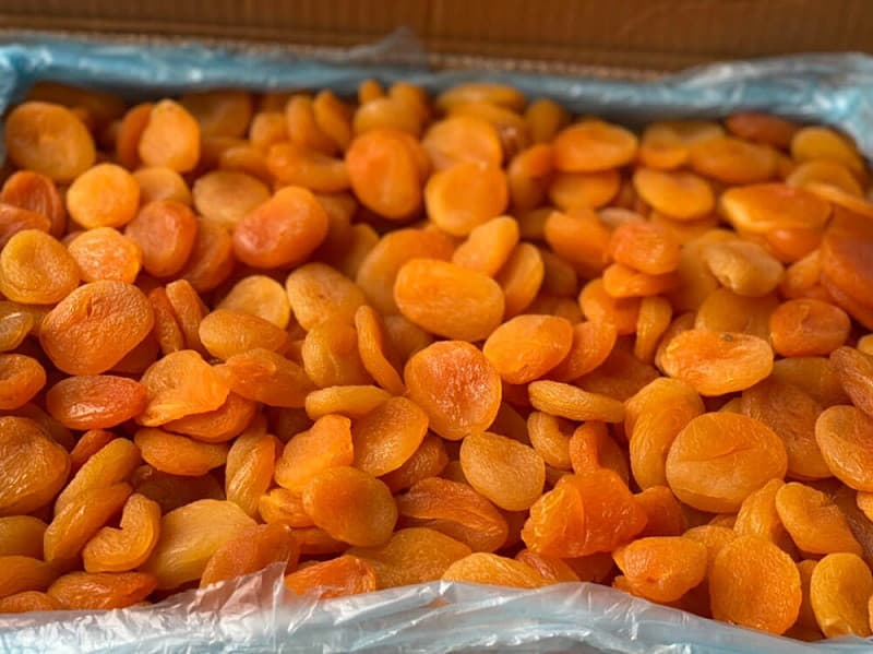 trái cây khô thổ nhĩ kỳ
