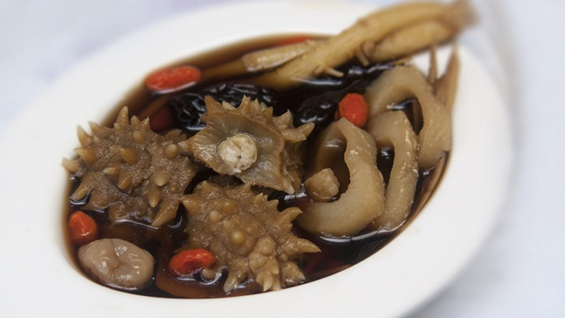 hải sâm