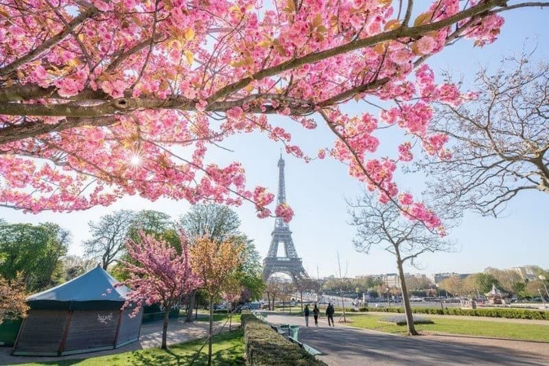 Paris mùa xuân