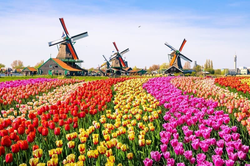 Amsterdam có thực sự an toàn cho du khách?