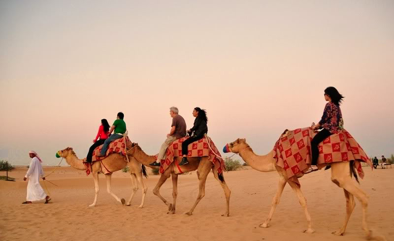 Tour Sa Mạc safari