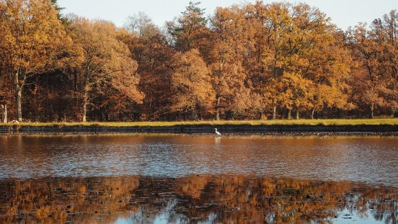 Công viên quốc gia Hoge Veluwe