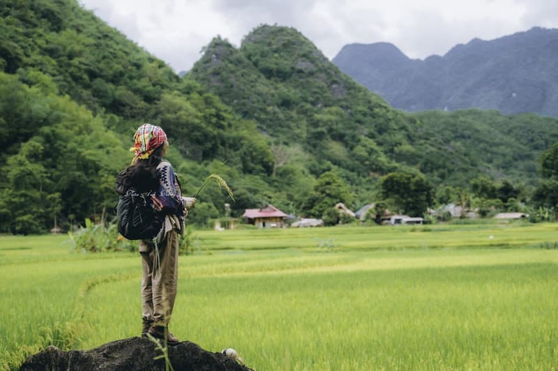 tour Pù Luông mùa lúa chín