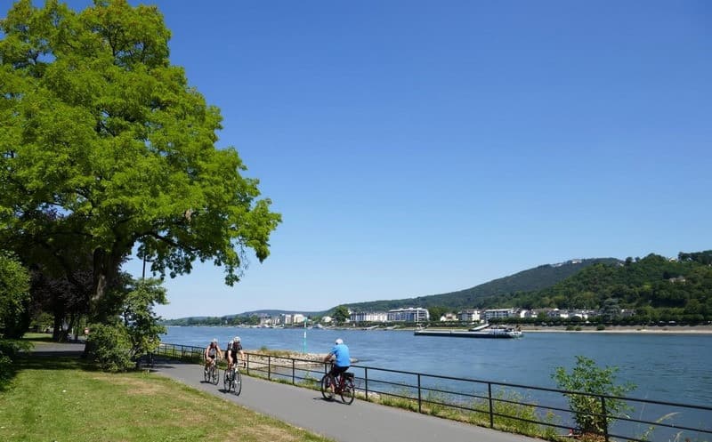 Đạp xe quanh sông Rhine khi du lịch Bonn Đức