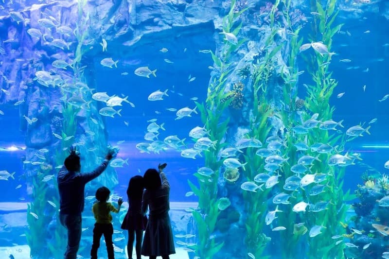 Lotte world aquarium