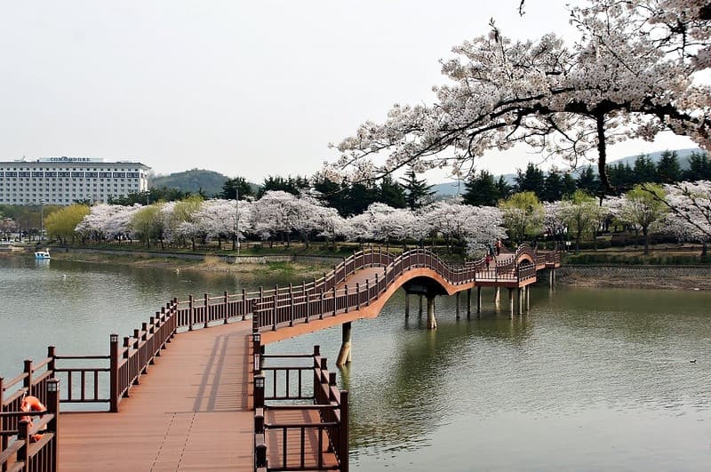 Du lịch Gyeongju mùa xuân
