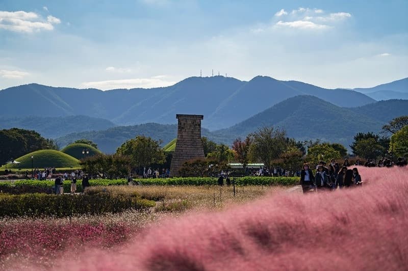 đài quan sát cheomseongdae ở gyeongju