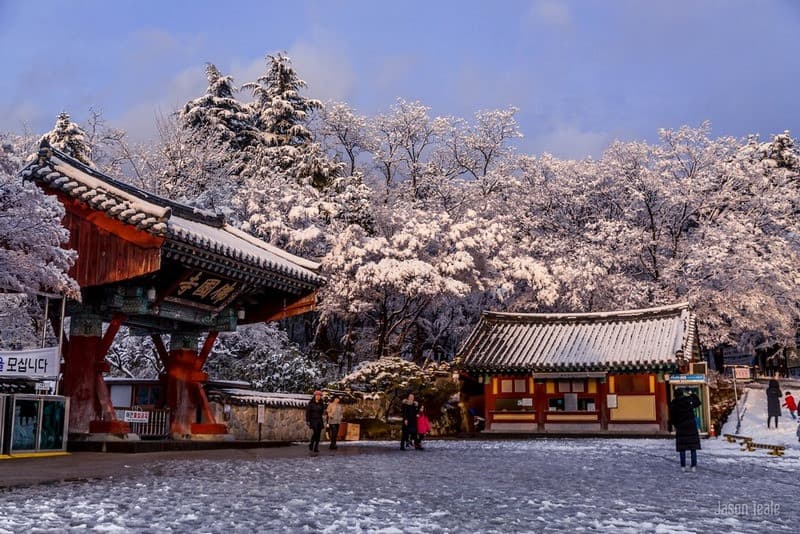 Du lịch Gyeongju mùa đông