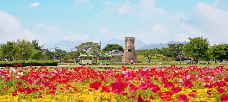 Du lịch Gyeongju mùa hè