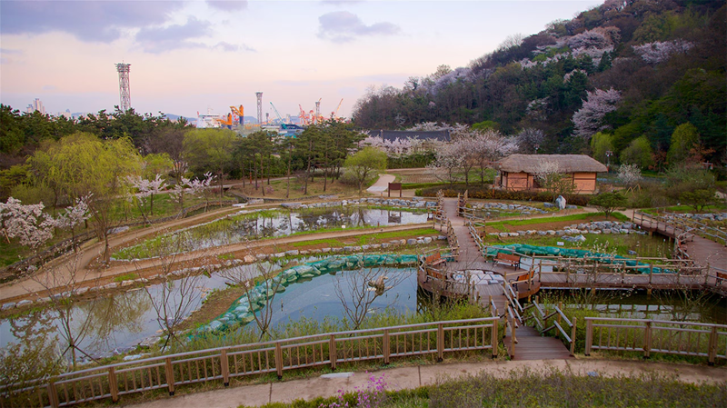 công viên biển incheon