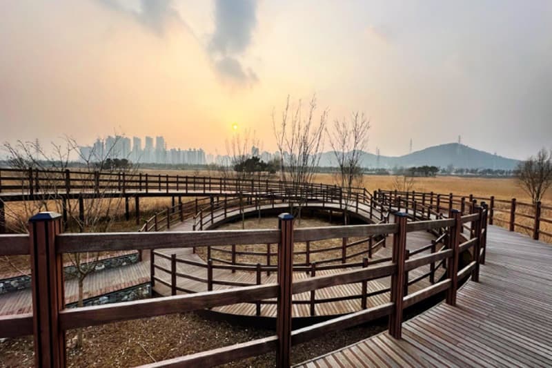 sorae park